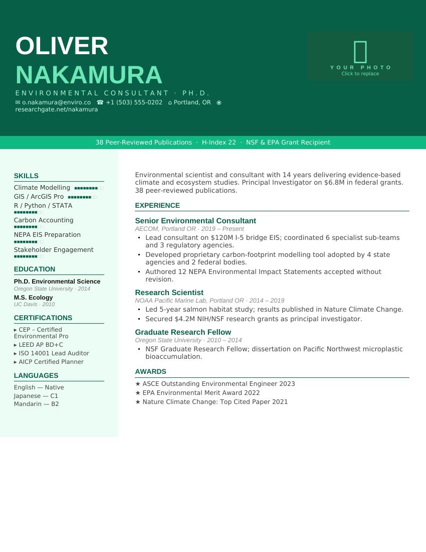 Forest Green Consultant CV template preview