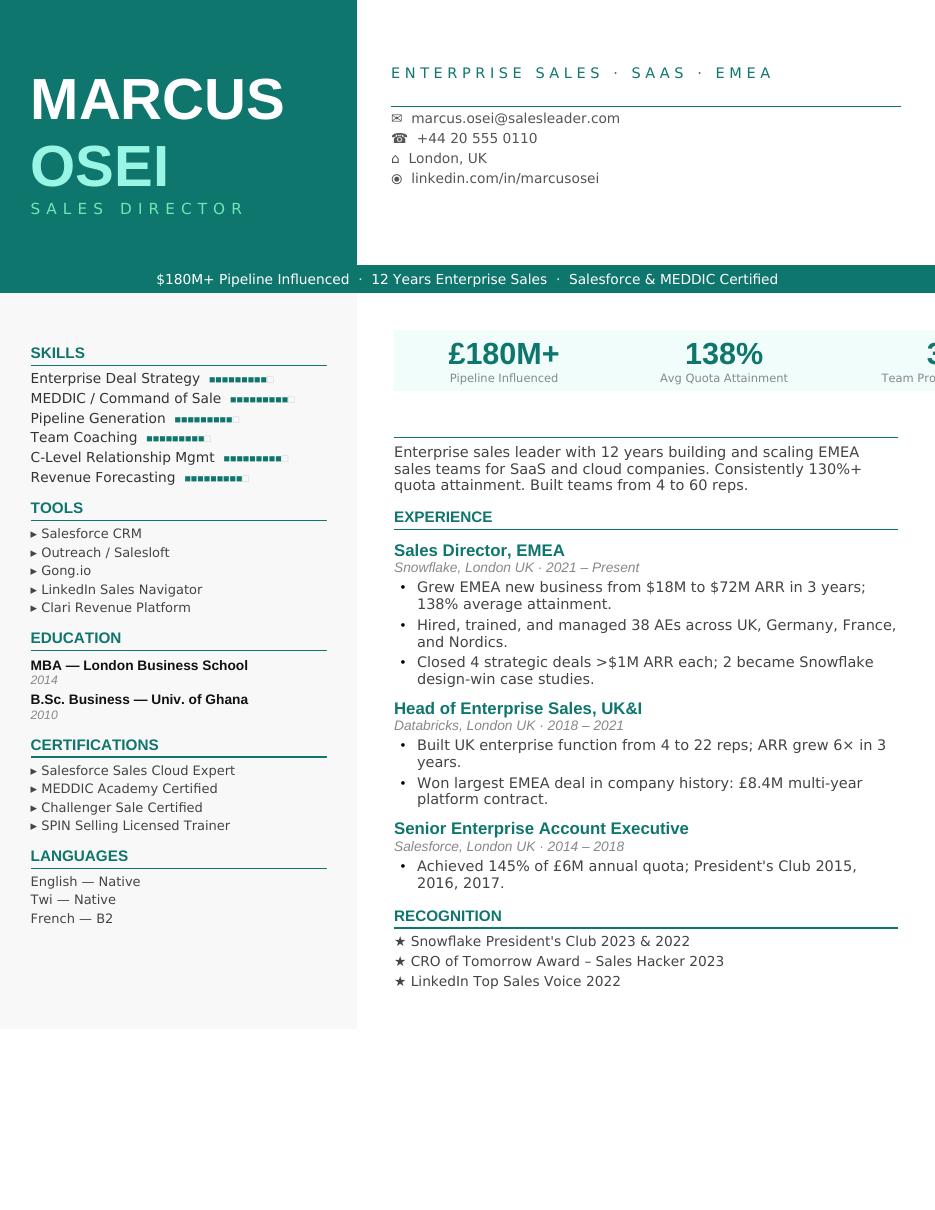 Combination Sales CV template preview
